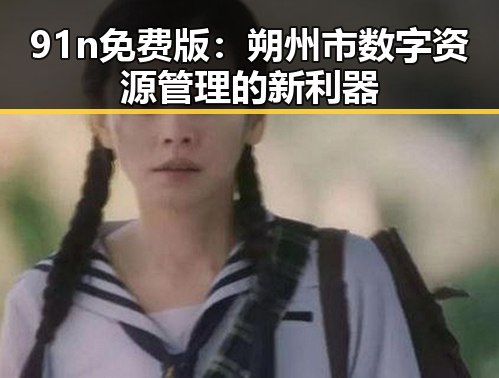 91n免费版：朔州市数字资源管理的新利器