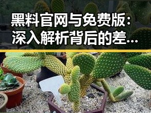 黑料 官网与免费版:深入解析背后的差异与趋势