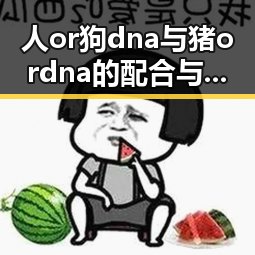 人or狗dna与猪ordna的配合与防治官方版下载:探索动物基因的奥秘