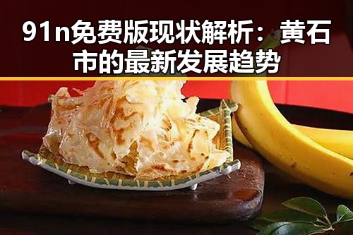 91n免费版现状解析：黄石市的最新发展趋势