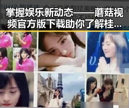 掌握娱乐新动态——蘑菇视频官方版下载助你了解桂林市明星趣事