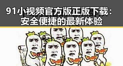 91小视频官方版正版下载:安全便捷的最新体验