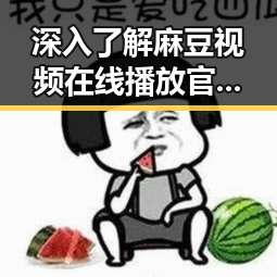 深入了解麻豆视频在线播放官方版:北京地区的最新动态