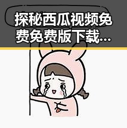 探秘西瓜视频免费免费版下载:临沧市用户的新选择