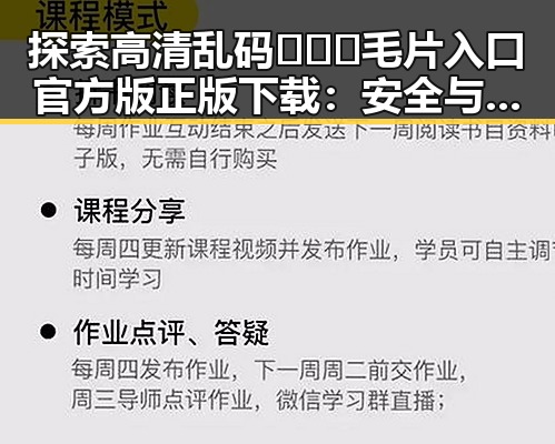 探索高清乱码🔞❌♋毛片入口官方版正版下载：安全与便利的最新选择