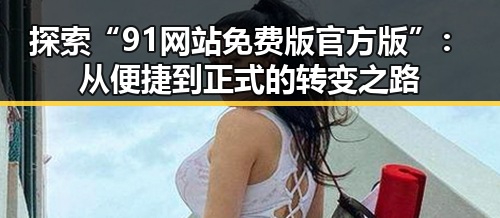 探索“91网站免费版官方版”:从便捷到正式的转变之路