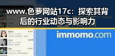 www.色 萝网站17c：探索其背后的行业动态与影响力