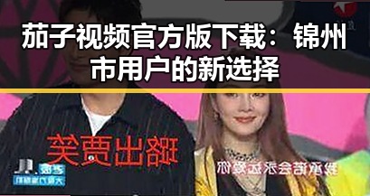 茄子视频官方版下载：锦州市用户的新选择