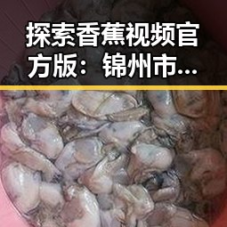 探索香蕉视频官方版：锦州市用户的新娱乐选择