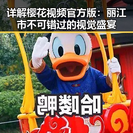 详解樱花视频官方版：丽江市不可错过的视觉盛宴