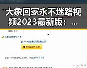 大象回家永不迷路视频2023最新版：背后的奇迹与解读