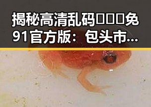 揭秘高清乱码🔞❌♋免91官方版：包头市用户的新选择
