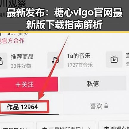 最新发布：糖心vlgo官网最新版下载指南解析