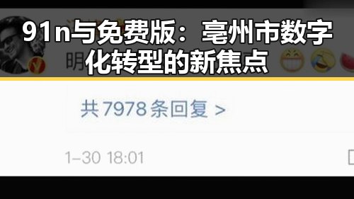 91n与免费版：亳州市数字化转型的新焦点
