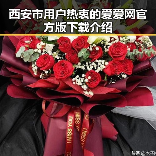西安市用户热衷的爱爱网官方版下载介绍