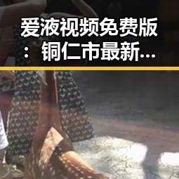爱液视频免费版:铜仁市最新攻略与观影体验