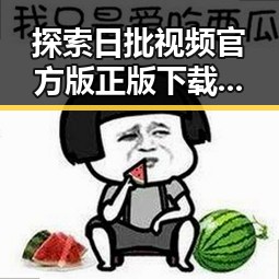 探索日批视频官方版正版下载:大同市热点背后的秘密
