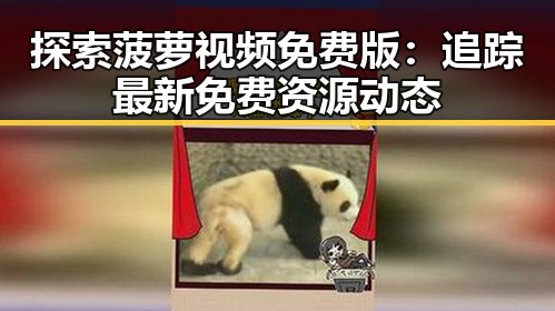 探索菠萝视频免费版:追踪最新免费资源动态
