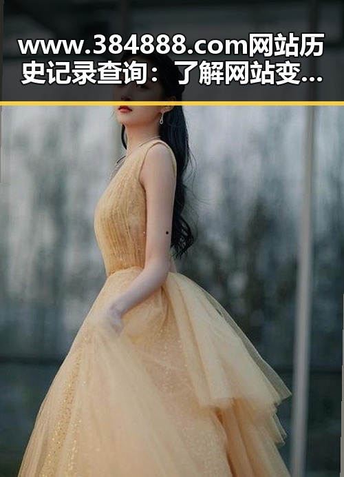 www.384888.com网站历史记录查询:了解网站变迁的关键工具
