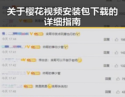 关于樱花视频安装包下载的详细指南