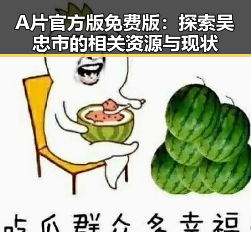 A片官方版免费版：探索吴忠市的相关资源与现状