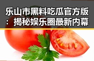 乐山市黑料吃瓜官方版：揭秘娱乐圈最新内幕