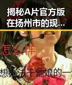 揭秘A片官方版在扬州市的现状与发展