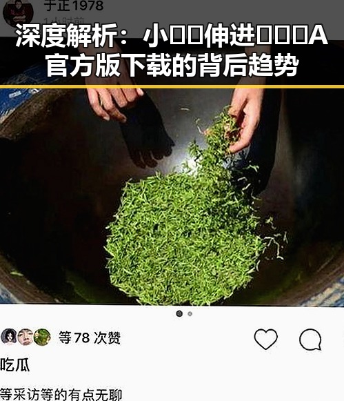 深度解析：小🐔🐔伸进🈲🔞🔞A官方版下载的背后趋势