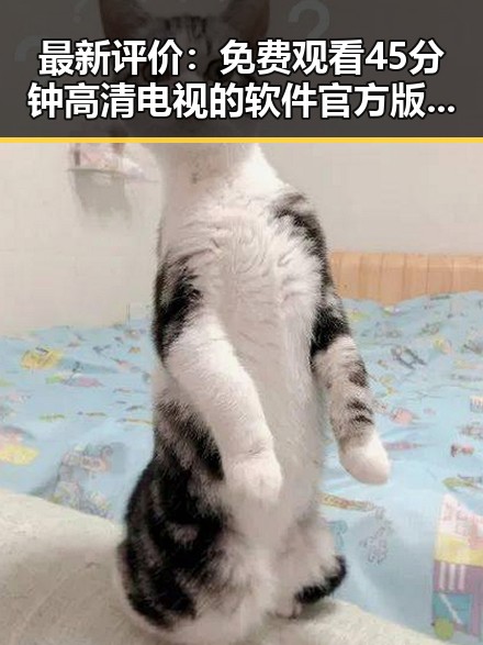最新评价： 免费观看45分钟高清电视的软件官方版带你畅享视听盛宴