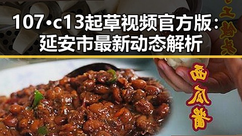 107·c13起草视频官方版：延安市最新动态解析
