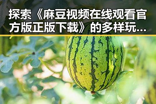 探索《麻豆视频在线观看官方版正版下载》的多样玩法与安全指南