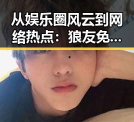 从娱乐圈风云到网络热点：狼友免费视频官方版在安康市引发关注