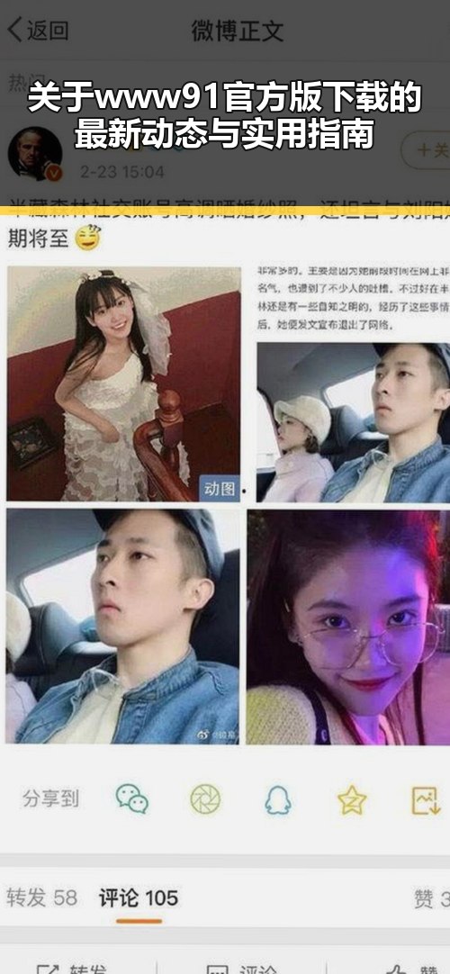 关于www91官方版下载的最新动态与实用指南