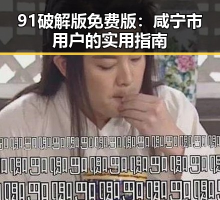 91破解版免费版：咸宁市用户的实用指南