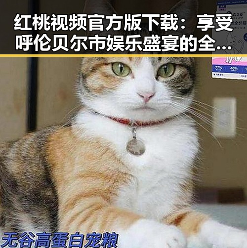 红桃视频官方版下载：享受呼伦贝尔市娱乐盛宴的全新体验