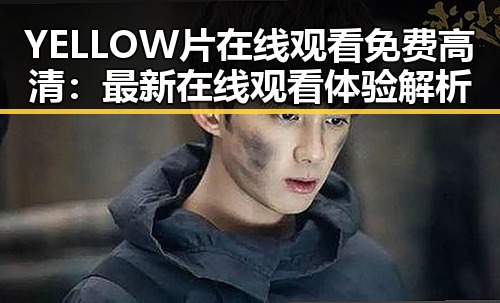 YELLOW片在线观看免费高清：最新在线观看体验解析
