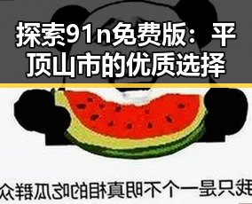 探索91n免费版：平顶山市的优质选择