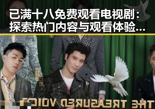 已满十八免费观看电视剧：探索热门内容与观看体验的反差