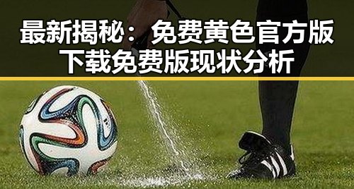 最新揭秘：免费黄色官方版下载免费版现状分析