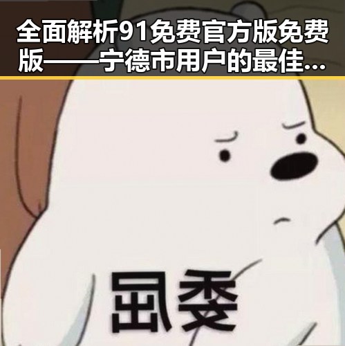 全面解析91免费官方版免费版——宁德市用户的最佳选择