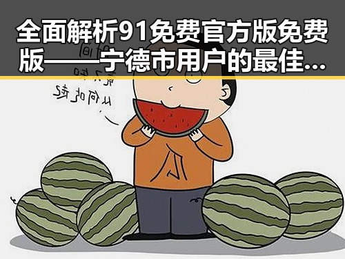 全面解析91免费官方版免费版——宁德市用户的最佳选择