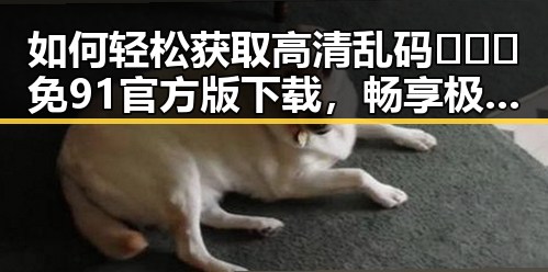如何轻松获取高清乱码🔞❌♋免91官方版下载，畅享极致体验