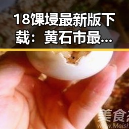 18馃埐最新版下载：黄石市最新版本介绍与实用指南