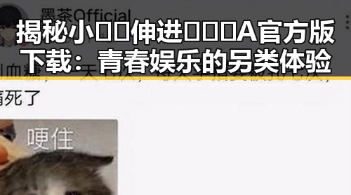 揭秘小🐔🐔伸进🈲🔞🔞A官方版下载：青春娱乐的另类体验