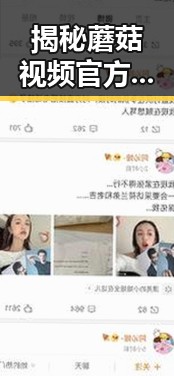 揭秘蘑菇视频官方版：娱乐内容新体验的典范