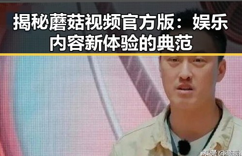 揭秘蘑菇视频官方版：娱乐内容新体验的典范