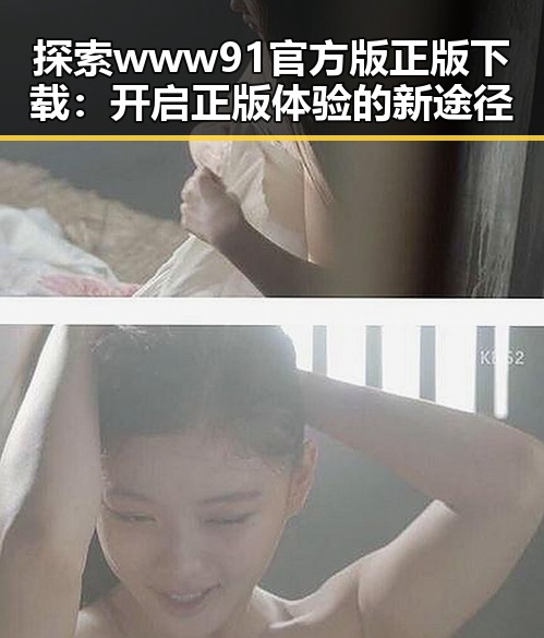 探索www91官方版正版下载：开启正版体验的新途径