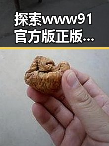 探索www91官方版正版下载：开启正版体验的新途径