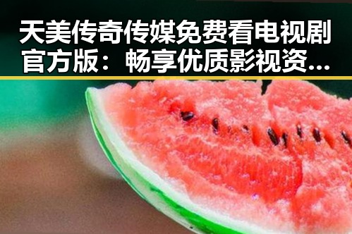 天美传奇传媒免费看电视剧官方版：畅享优质影视资源新体验