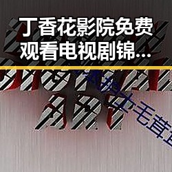 丁香花影院免费观看电视剧锦绣未央官方版引发热议